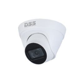 DAHUA DS2431TDIP-S2